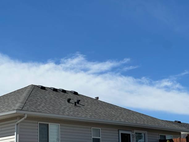 Best Asphalt Shingle Roofing  in Antioch, CA